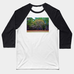 Pine Tree Landscape Baseball T-Shirt